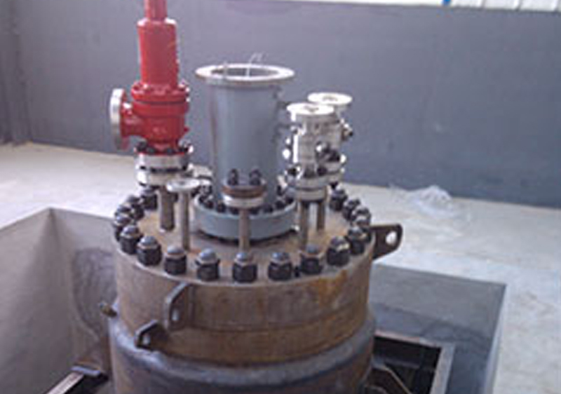 高壓反應(yīng)釜